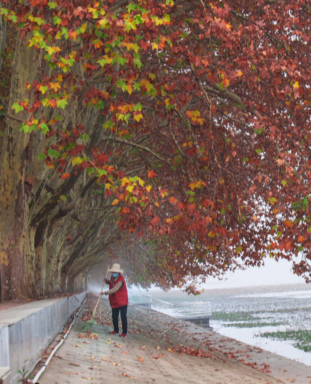 创文特刊  刘启发.png